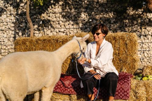 a woman sitting on a pile of hay petting a goat at The Tribe Alpaca Retreat in Brăneşti