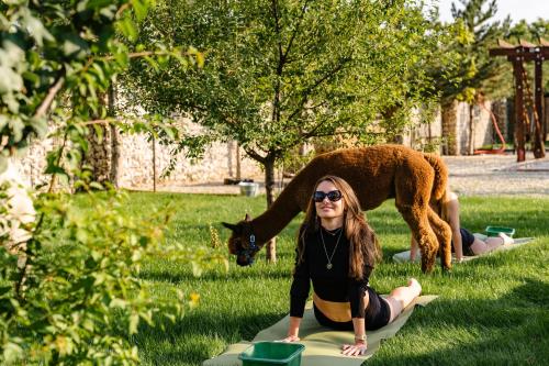 a woman sitting on a surfboard in the grass with a dog at The Tribe Alpaca Retreat in Brăneşti