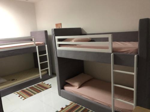 Litera o literas en una habitación de Legacy Hostel
