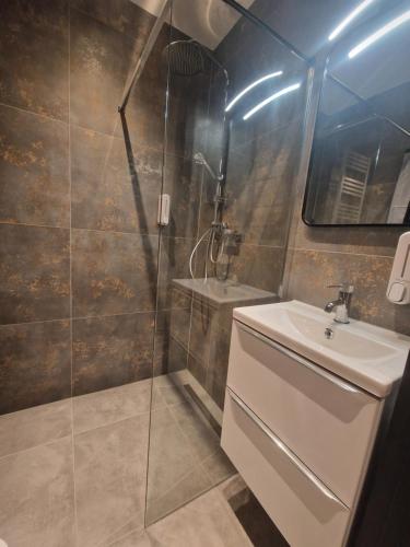 a bathroom with a sink and a glass shower at Apartament Zacisze 4 in Przemyśl