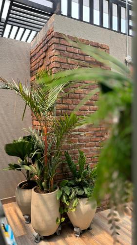 three potted plants sitting on a table next to a brick wall at Casa Di Tatiana in Valledupar