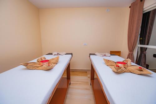 two beds in a hospital room with dolls on them at Majestic Lake Front Hotel & Suites in Pokhara