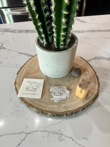 a cactus in a pot sitting on a wooden table at Ski Town Chalet in Steamboat Springs