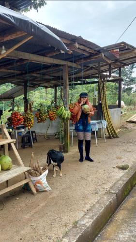 a woman standing in front of a fruit stand with a dog at Apartamento Rural Vacacional in Cotundo