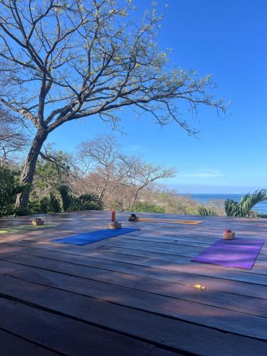 a wooden deck with a tree in the background at Buena Vista Surf Club in Playa Maderas