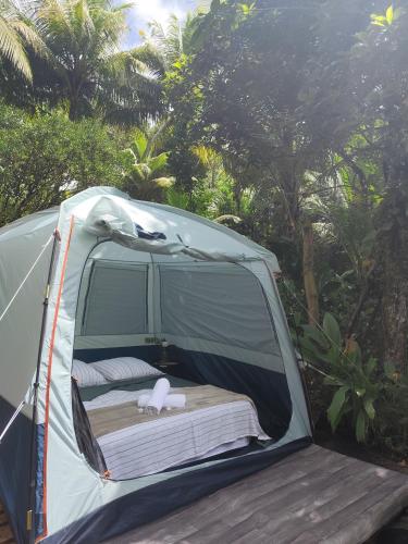 Camping à la ferme