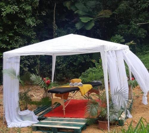 Zahrada ubytování Camping à la ferme