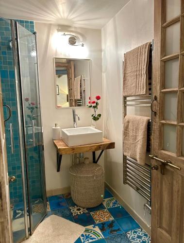 une salle de bain avec un lavabo et une douche dans l'établissement Charmant studio et style unique, à Paris