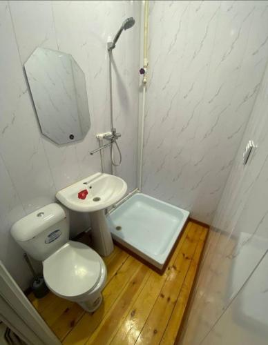 a small bathroom with a toilet and a sink at NiluNoza in Bukhara