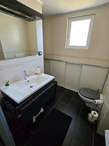 a bathroom with a sink and a toilet and a mirror at Gîte Vallée de Munster 3 étoiles chez Flavie & Ludo in Muhlbach-sur-Munster