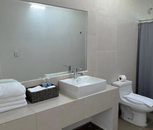 a bathroom with a sink and a toilet and a mirror at DUNAMIS HOTEL in Las Manzanas