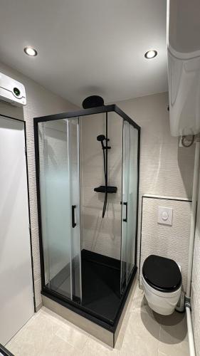 une salle de bain avec une douche en verre et des toilettes dans l'établissement Appartement de Brigitte, à Paris
