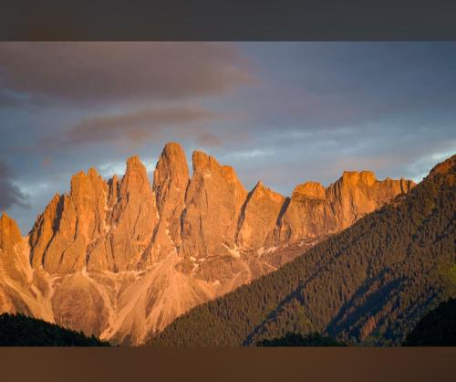 a group of mountains with trees in front of them at Oberprantschöllhof - Horse Mountain Stable in Bressanone