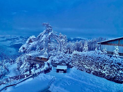 a christmas tree covered in snow next to a building at Oberprantschöllhof - Horse Mountain Stable in Bressanone