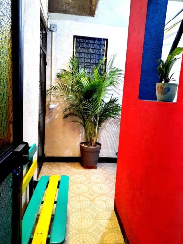 a door to a room with potted plants and a bench at La Terraza del Pochote in Oaxaca City