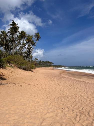 a sandy beach with palm trees and the ocean at AT ONE - with Nature Glamping Resort in Rekawa