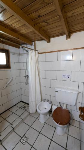 a bathroom with a toilet and a shower at Cabañas Willy in El Bolsón
