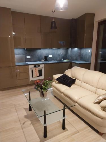 a living room with a couch and a coffee table at Apartament Poleska in Częstochowa