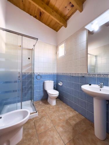 a bathroom with a toilet and a sink and a shower at Can Pep Yern 3 in Playa Migjorn