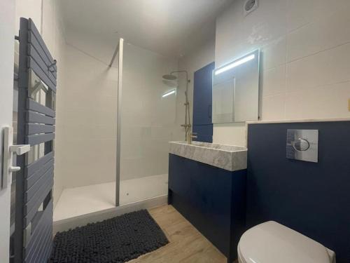 une salle de bain avec toilettes, lavabo et douche dans l'établissement Évasion Crampel cosy Appartement proche centre Toulouse, à Toulouse