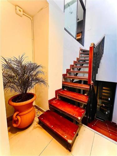 Φωτογραφία από το άλμπουμ του Sumaq Hostel Backpackers στο Μπουένος Άιρες