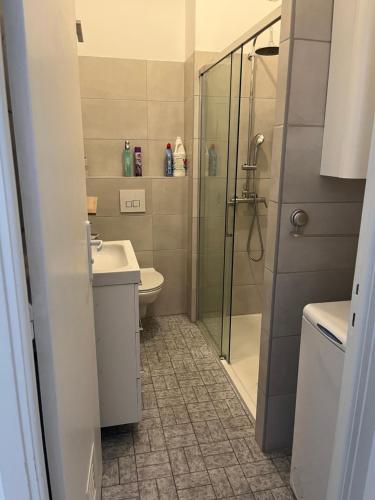 une salle de bain avec une douche, un lavabo et des toilettes dans l'établissement Grand studio à 2mn du port et 40mn des pistes de ski, à Nice