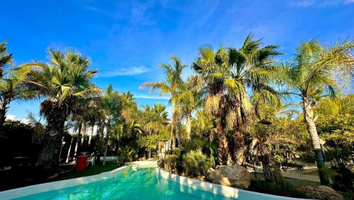 a swimming pool with palm trees in a resort at Palm Garden Valencia in Bétera