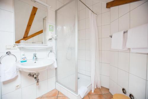 ein Bad mit einem Waschbecken und einer Dusche in der Unterkunft Aparthotel Wettenberg in Gießen