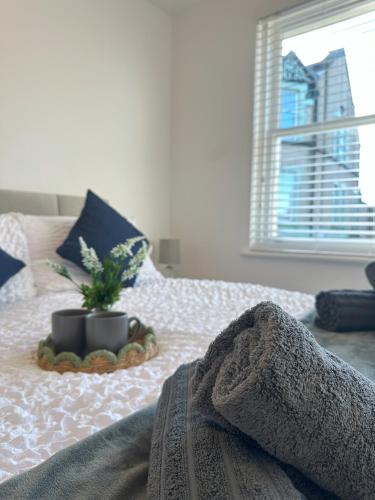 a potted plant on a bed with a window at Curwen Apartment - 2 Bedrooms - Sleeps 6 in Workington