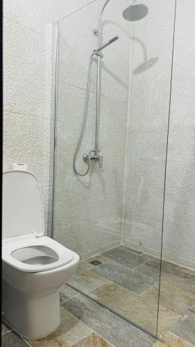 a bathroom with a toilet and a glass shower at Hotel Dior in Saint-Louis