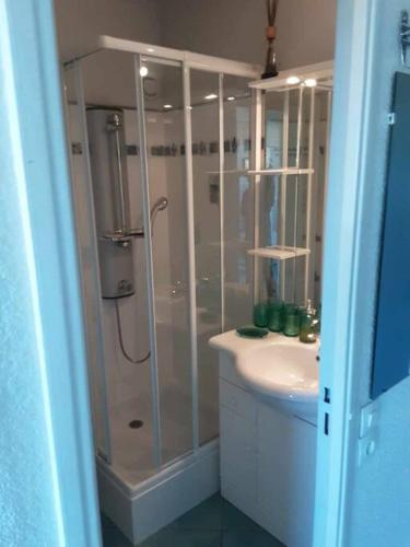une salle de bain avec douche et lavabo dans l'établissement Studio Cannes Marina - port Mandelieu, à Mandelieu-la-Napoule