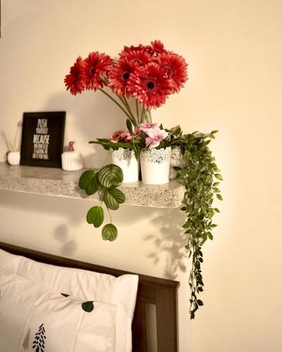 Φωτογραφία από το άλμπουμ του Backpackers Den Chandigarh σε Τσαντιγκάρ