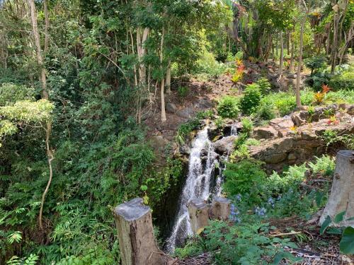 a waterfall in the middle of a forest at ROMATIC WATERFALL CABIN in the Rainforest in Honokaa
