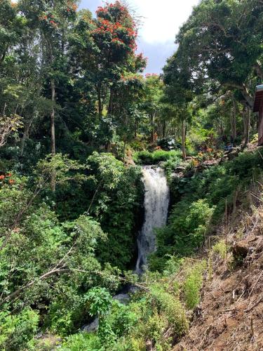 a waterfall in the middle of a forest at ROMATIC WATERFALL CABIN in the Rainforest in Honokaa