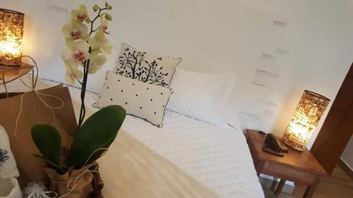 Gallery image of Le Garden Pousada Boutique in Penedo