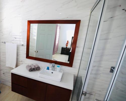 a bathroom with a sink and a mirror at First home Fiji in Nadi