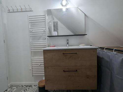 a bathroom with a sink and a mirror at Charmant gîte près d'Orléans avec jardin privatif et parking - FR-1-590-524 in Chaingy