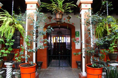 an entrance to a building with potted plants at Apart Hotel Loma Chica Quito in Quito