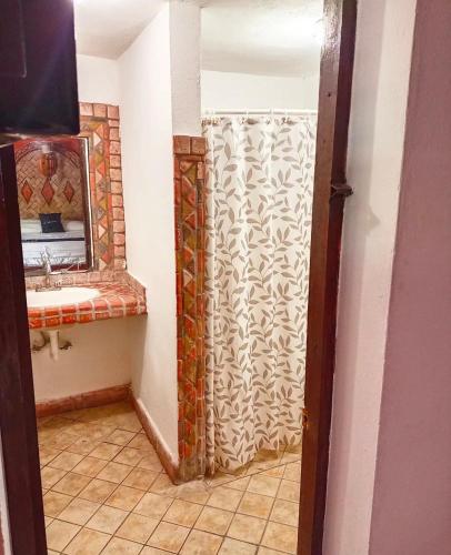 a bathroom with a shower and a sink at Hotel Olimpia Centro Histórico in Monclova