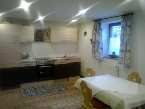 uma cozinha com um lavatório e uma mesa num quarto em Haus Bacher em Tux