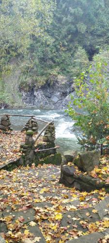 a painting of a river with leaves on the ground at Біля річки in Izki