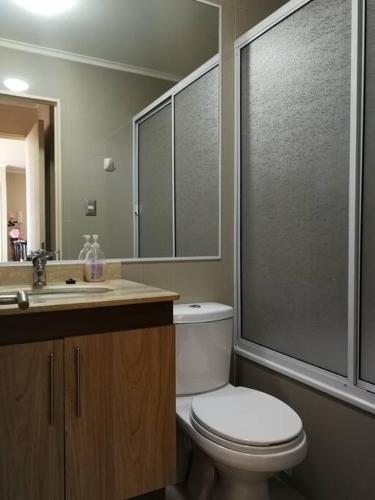 a bathroom with a toilet and a sink and a shower at Departamento completo, centrico y estacionamiento in Temuco