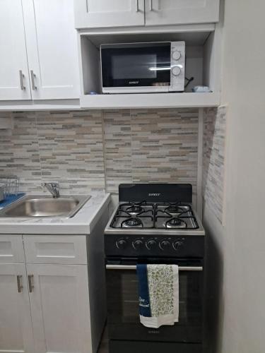a kitchen with a stove and a microwave at Michand Guest Apartments- Cozy one or two bedroom- 5 walk minutes from airport 10 mins drive to Oistins or beach in Christ Church