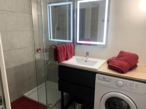 une salle de bain avec un lavabo et une machine à laver dans l'établissement Résidence Le Chateau Durieux 1 - Très cosy et chaleureux 2 pièces MAE-7941, à Aix-les-Bains