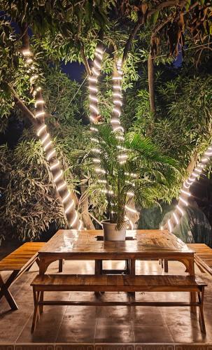 a wooden table in front of a tree with lights at Shobhayan inn, airport railway station pickup free in Ayodhya
