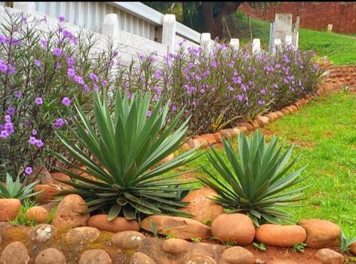 Jardín al aire libre en Forest Green Unit 2