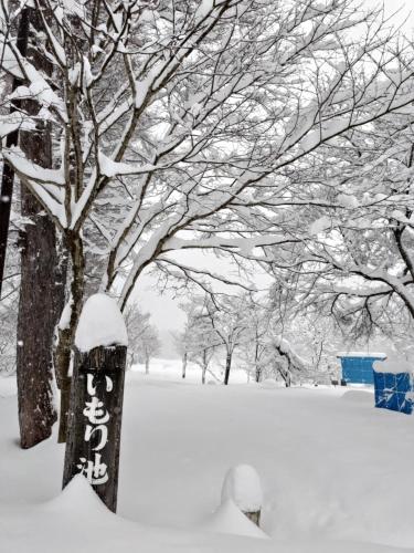 a snow covered stump with a face on it in front of a tree at Hotel Tae Windsor in Myoko