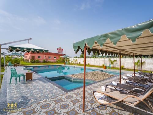ein Swimmingpool mit Liegestühlen und Sonnenschirm in der Unterkunft The Royal Heritage Tent Resort- Tent City Kevadia in Kevadia