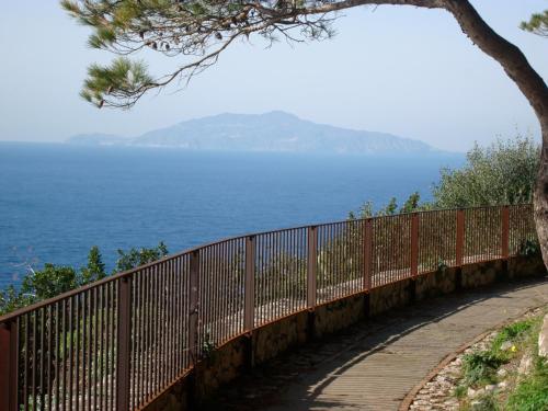a fence on a hill next to the ocean at Villa Eva in Anacapri