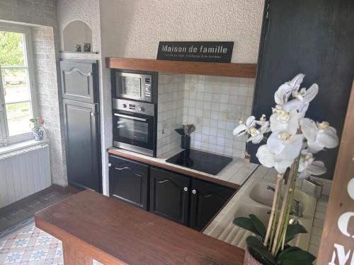 イジェにあるLa Tour Mailly - 3 pièces tout confortのシンクとコンロのあるキッチン トップオーブン